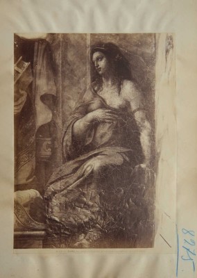 [Альбом фотографий фресок Сикстинской капеллы в Ватикане]. [конец XIX - начало XX в.].